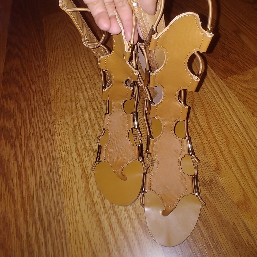 Gladiators - Picture 2 of 4